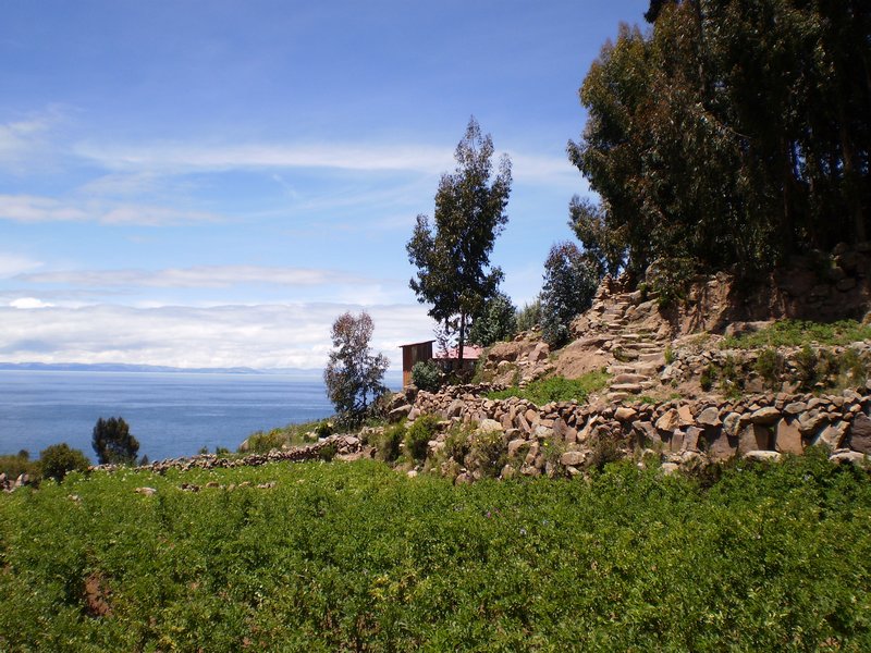 Lake Titicaca and Las Islas Flotantes 026