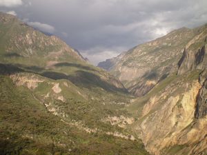 Colca Canyon 048