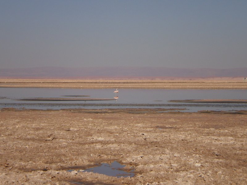 San Pedro de Atacama, Chile 038