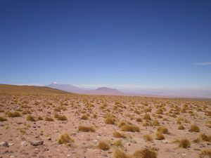 San Pedro de Atacama, Chile 063