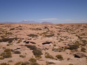 San Pedro de Atacama, Chile 087