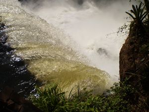 Iguazu Falls 029