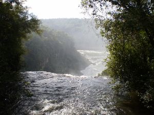 Iguazu Falls 031