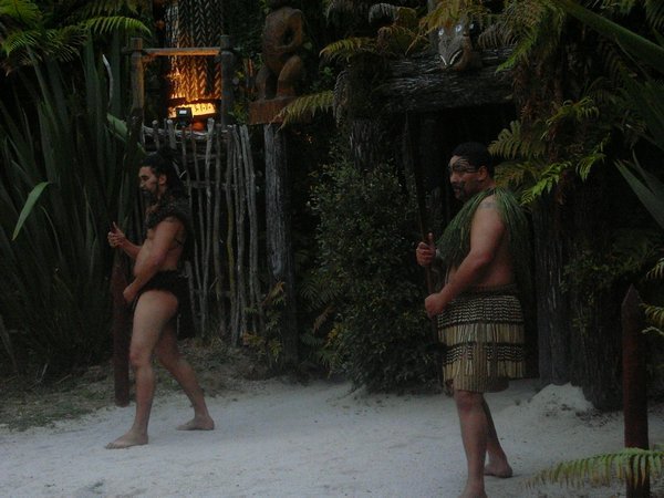 Maori Culture show
