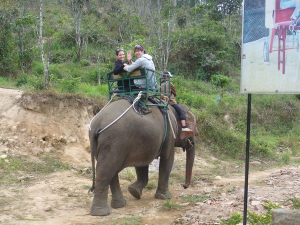 First elephant ride!