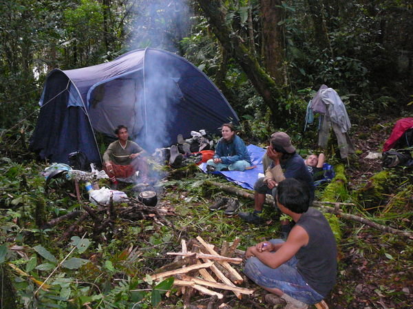 Jungle camping