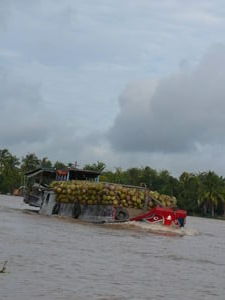 Coconut boat