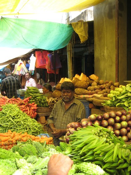 The Vegetable Market