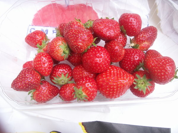 Delicious Strawberries