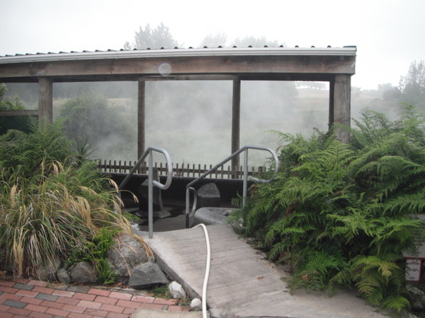 Pool at Waikite in Early Morning Mist