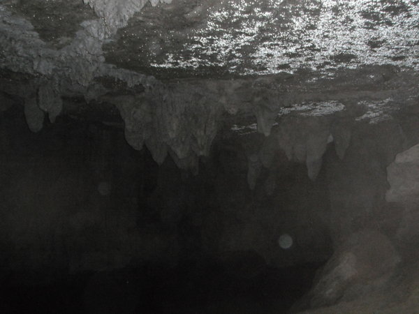 Waipu Cave