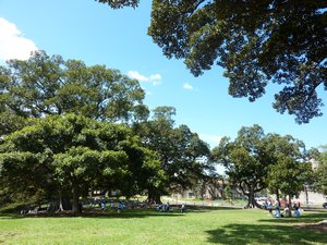 The Park around the Observatory