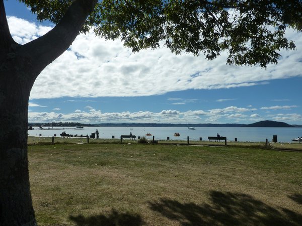 By the lake in Rotorua