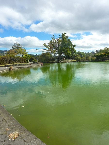 Thermal park, Rotorua