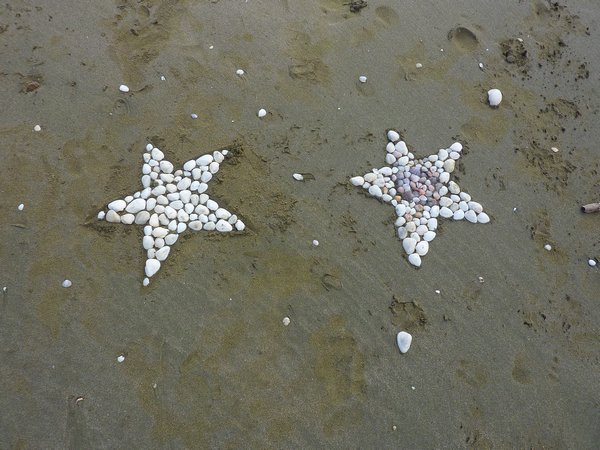 Shell stars
