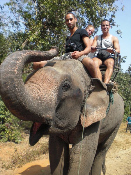 Me, Dan & Sam on elephant trek