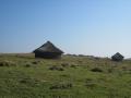 traditinal Xhosa houses