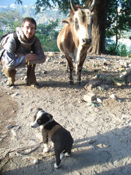 Mixing with the locals - Rishikesh