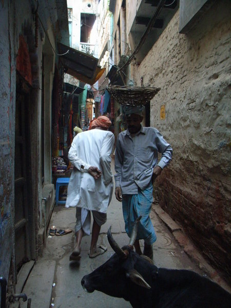 The tiny alleys with the hectic pace