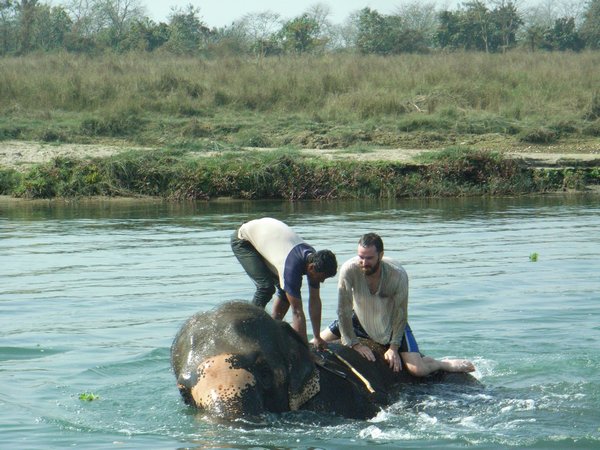 theres no such thing as a quick bath for an elephant!