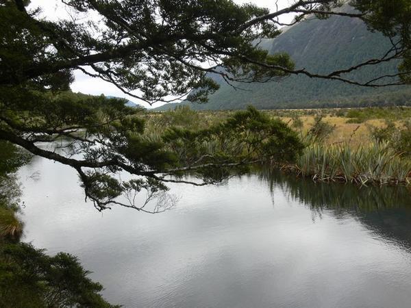 South New Zealand Scenery