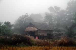 A mystical house amid the morning mist