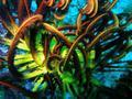 A colourful feather star