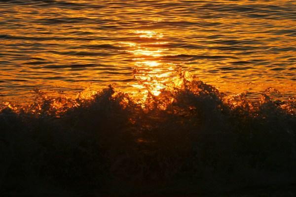 Sunset in the surf