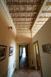 Awesome roof in the hall