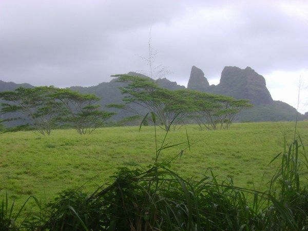 Kauai 7