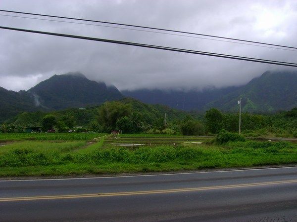 Kauai 8