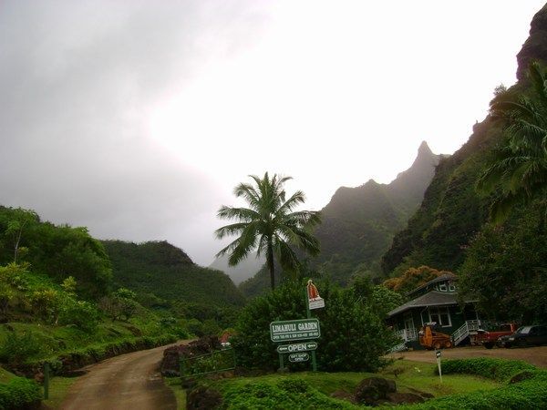 Kauai 11