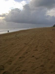 Kauai Beach 2