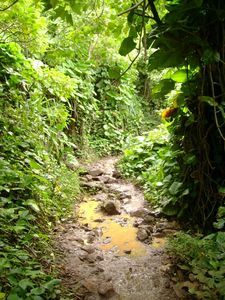Kauai - Hike 2