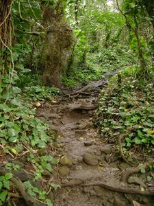 Kauai - Hike 10