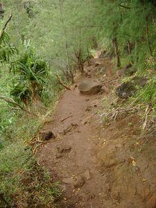 Kauai - Hike 11