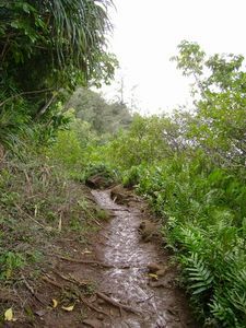 Kauai - Hike 15