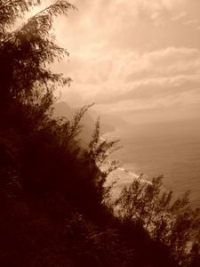 Na Pali Coast (sepia)  - Hike