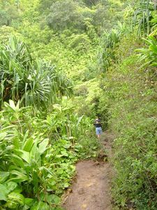 Kauai - Hike 24