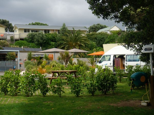 Waihi Beach Campsite