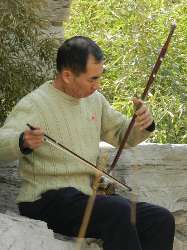Musician in Longtan Park, Beijing