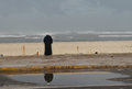 Man Overlooks Atlantic Ocean - Casablanca