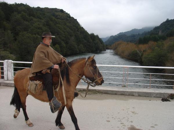 A Chilean horseman
