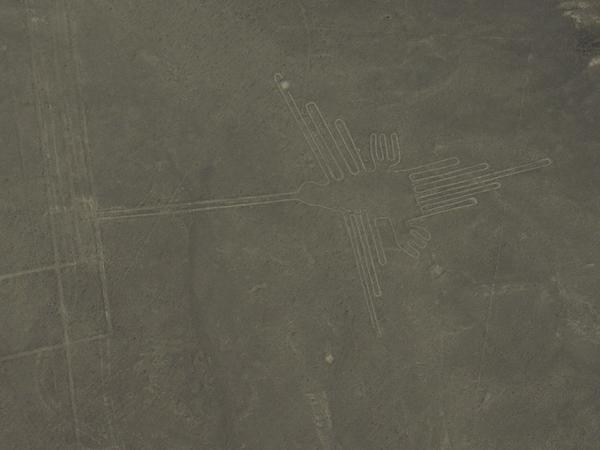 The Humming Bird - Nazca Lines - Peru