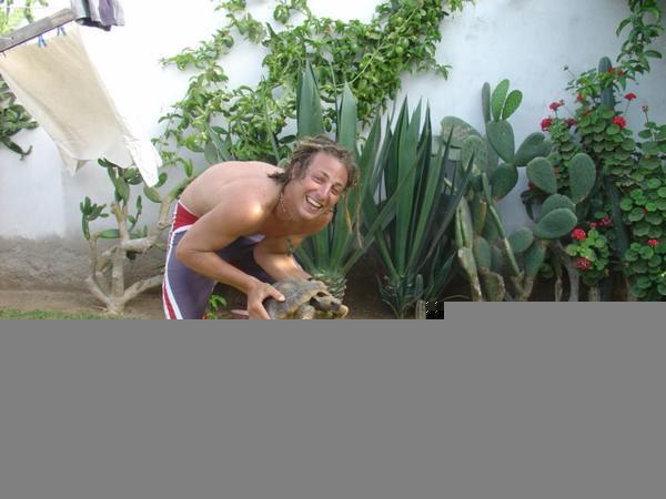 Me and the pet Turtle from our hostel  in Huanchaco