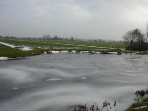 frozen pond - Zoeterwoude