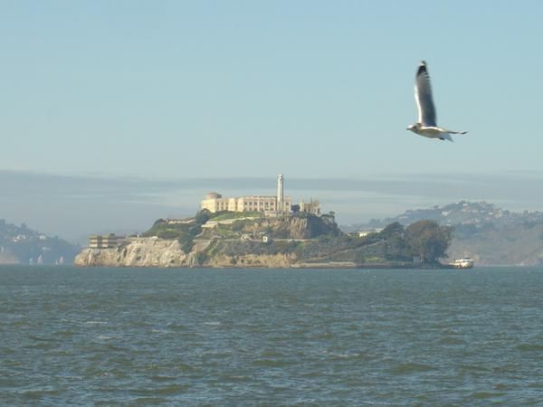 Alcatraz as seen from Fishermans' Wharf