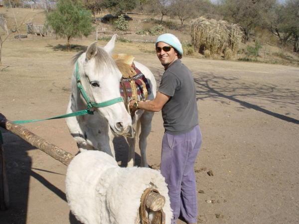 Fabri with his Arabic horse