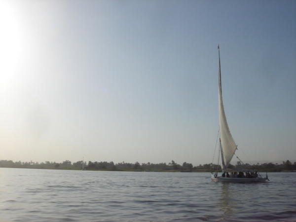 Faluka on the Nile
