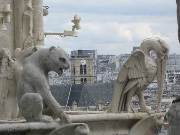 View from Notre Dame